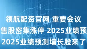 领航配资官网 重要会议刺激！零售股密集涨停 2025业绩预测增长股来了